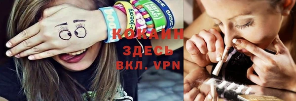 гидра Карпинск