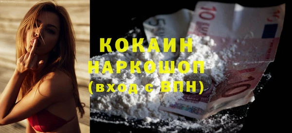 гидра Карпинск