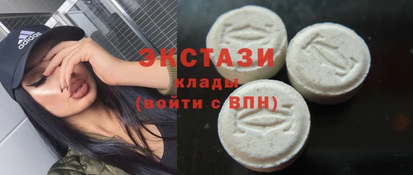 гидра Карпинск