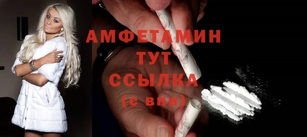 гидра Карпинск