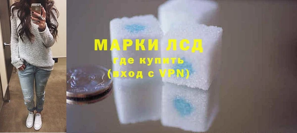 гидра Карпинск