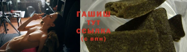 гидра Карпинск