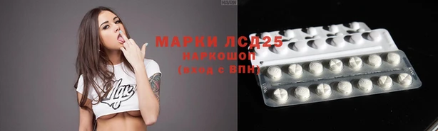 гидра Карпинск