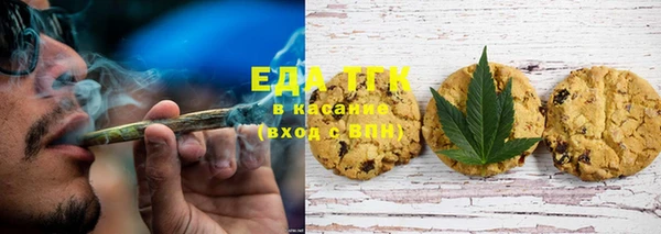 гидра Карпинск