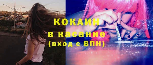 гидра Карпинск