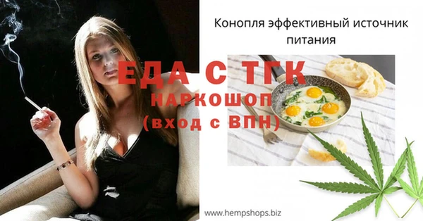 гидра Карпинск